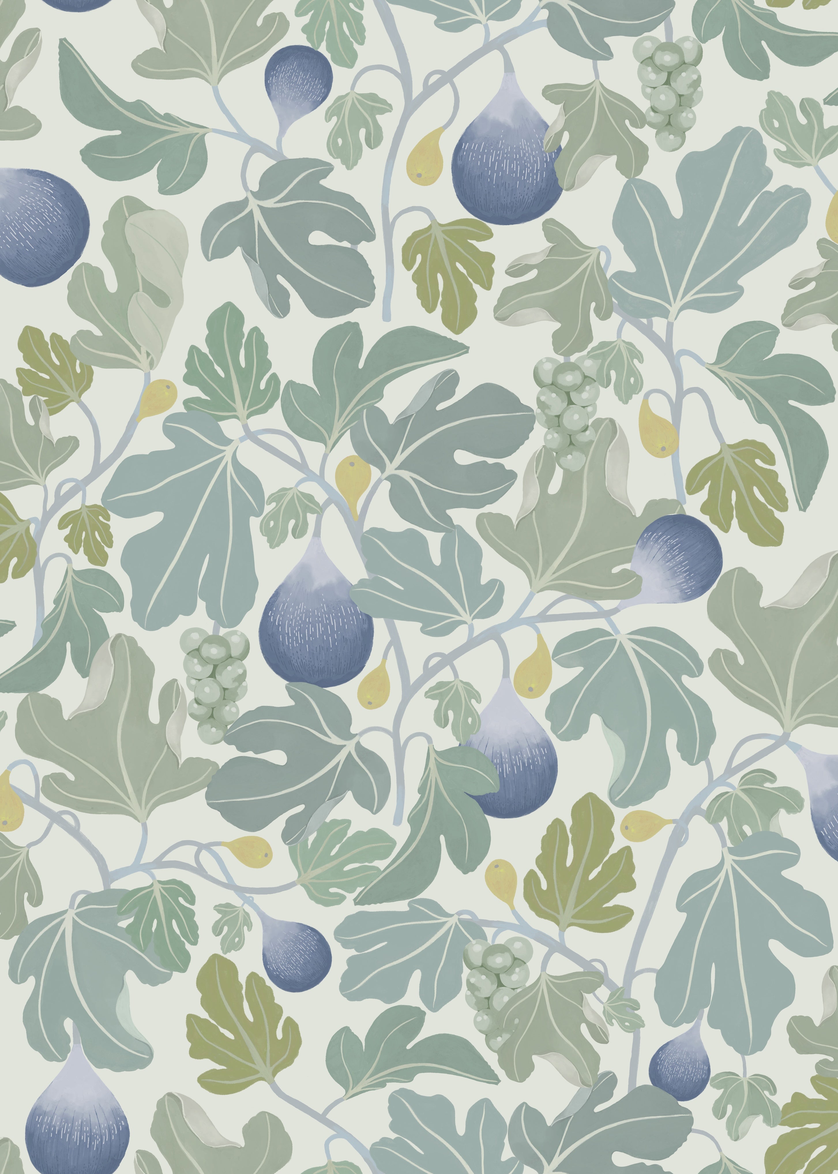 Figs - Blue