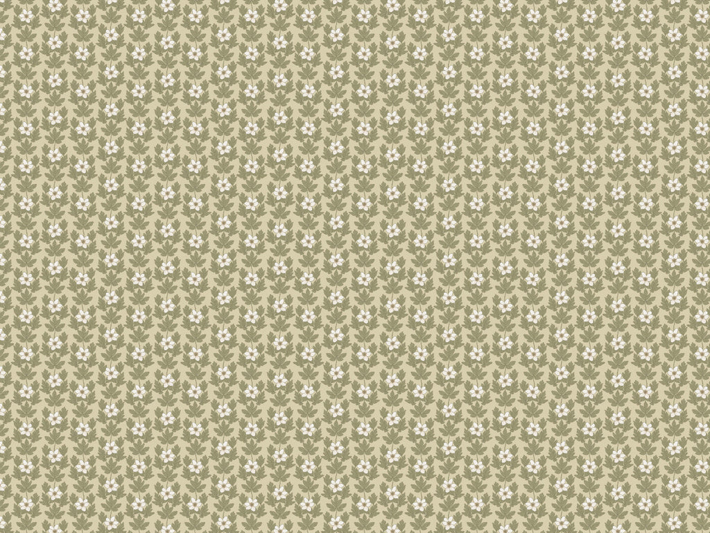 Wood Anemone - Beige