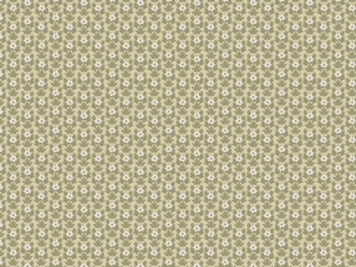 Wood Anemone - Beige