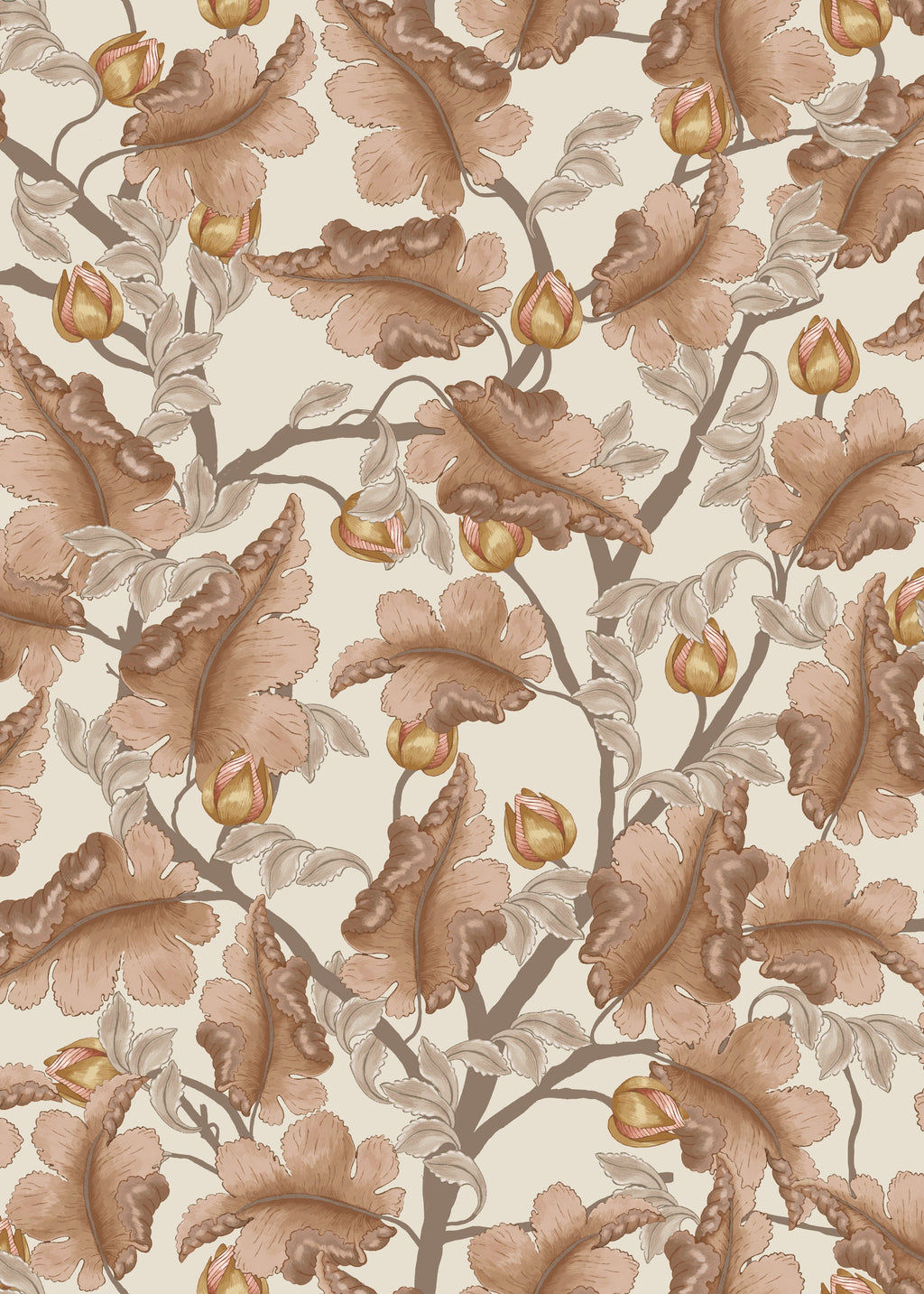 Ranunculus - Brown & Cream
