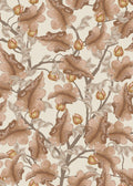 Ranunculus - Brown & Cream