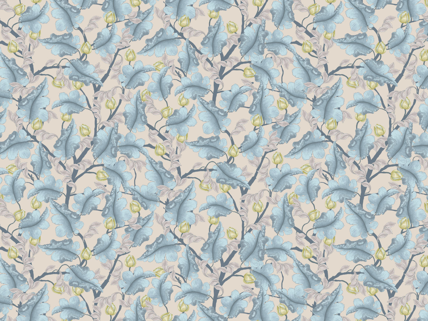 Ranunculus - Blue & Beige