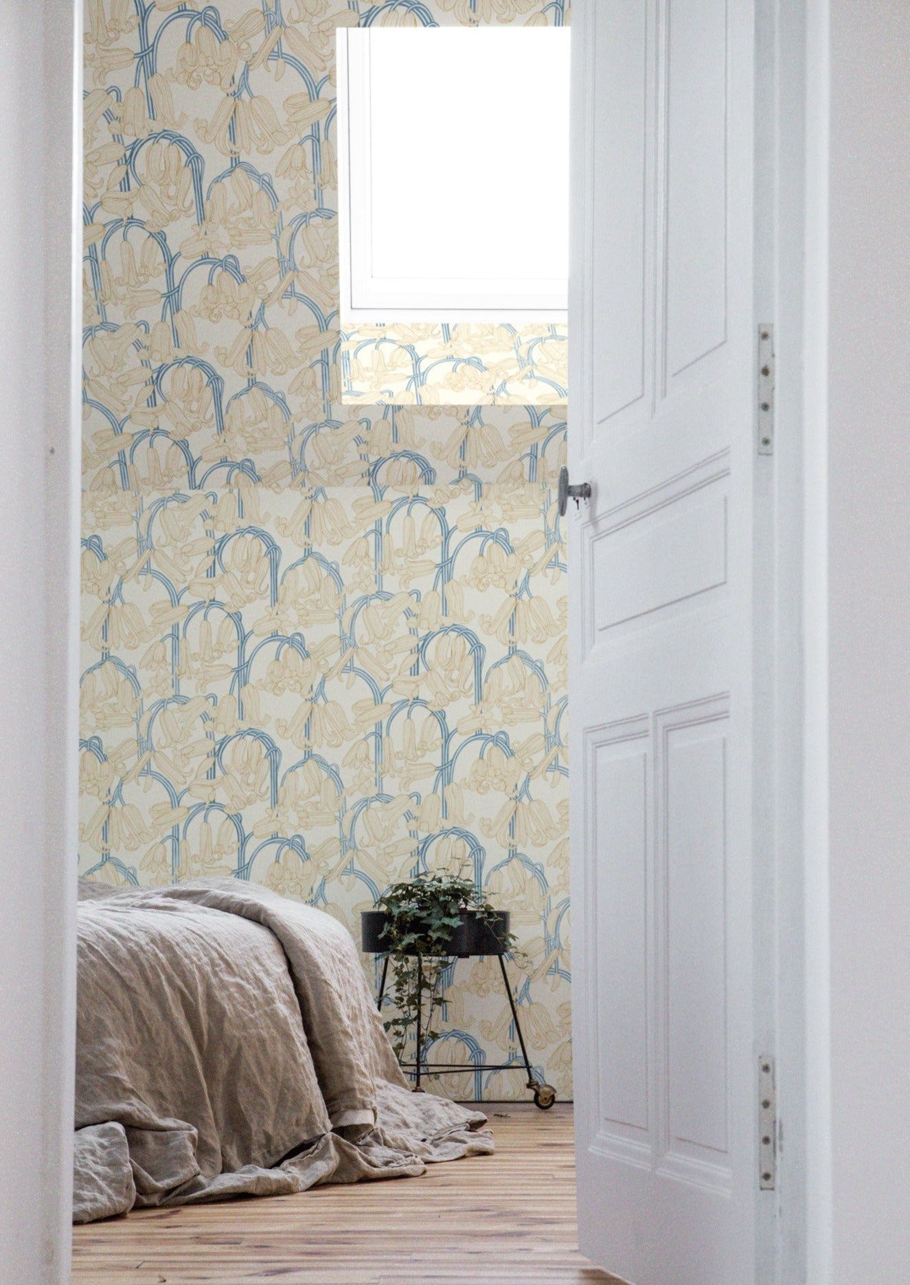 Bluebells - Cream