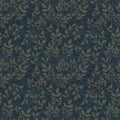 Dagma - Blue