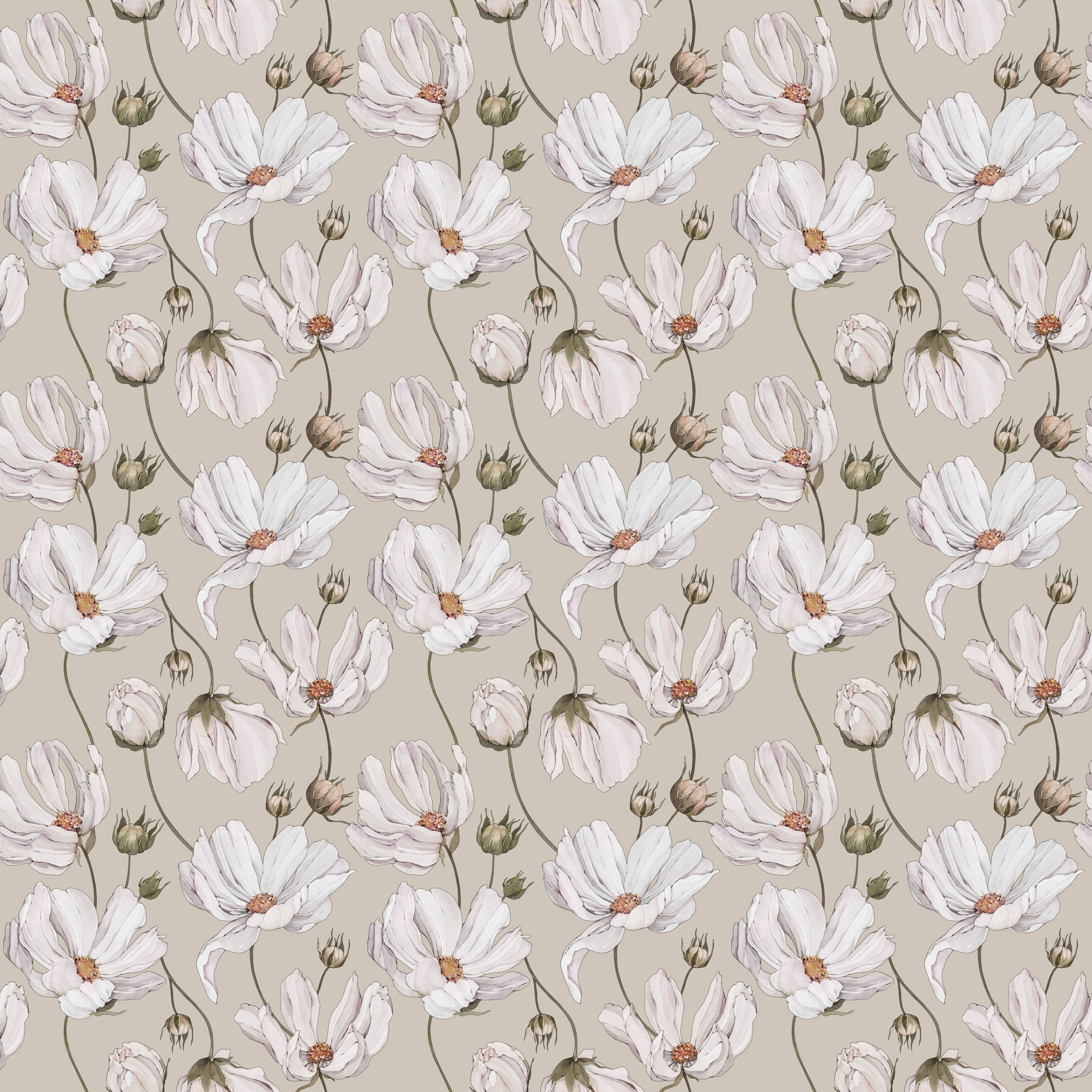 Daisies - Beige
