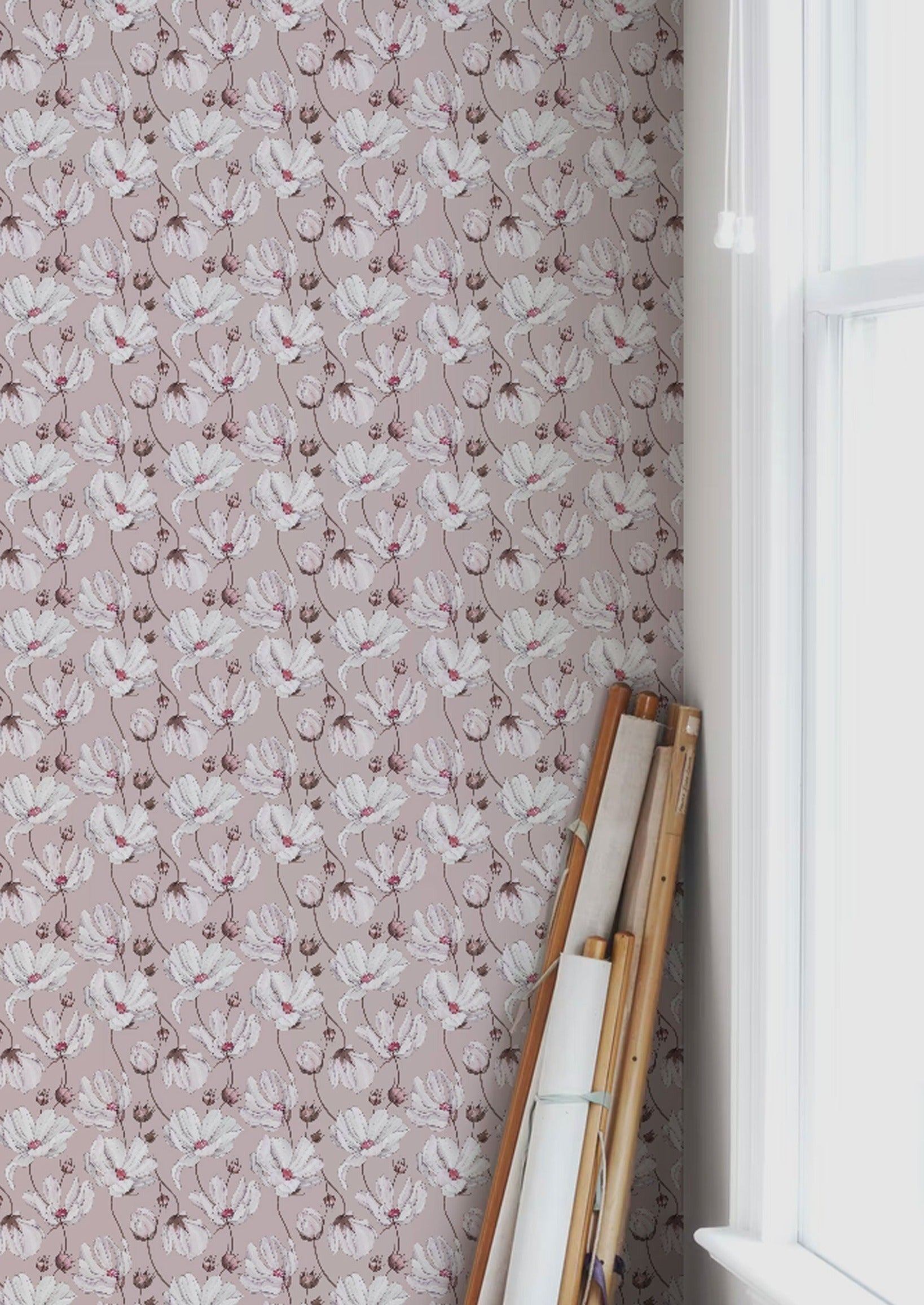 Daisies - Pink