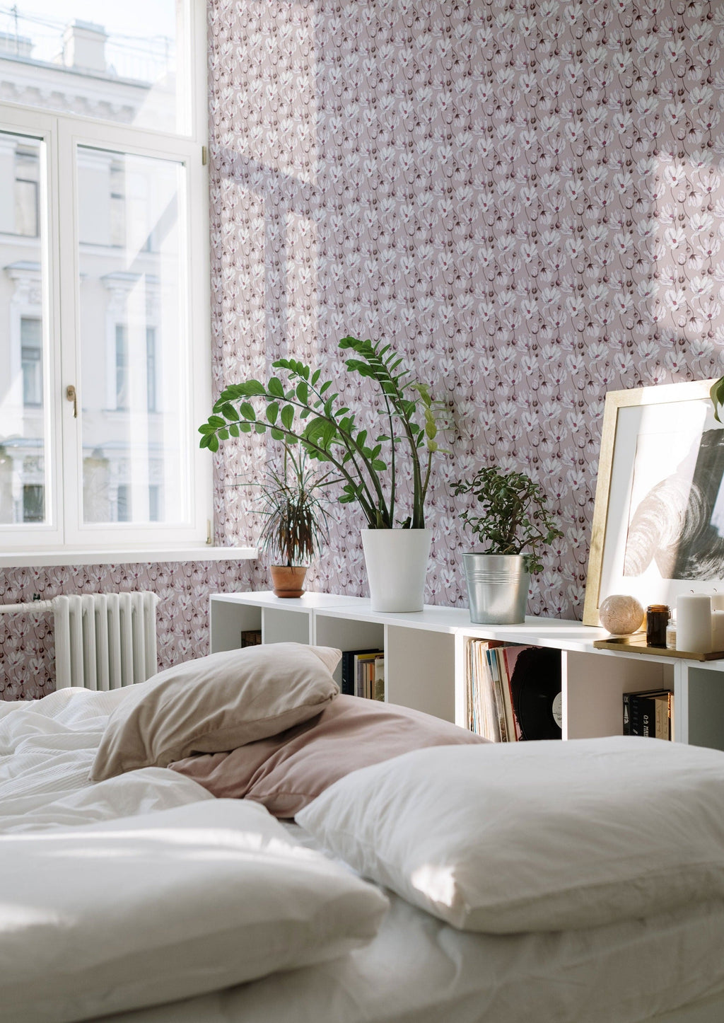 Daisies - Pink