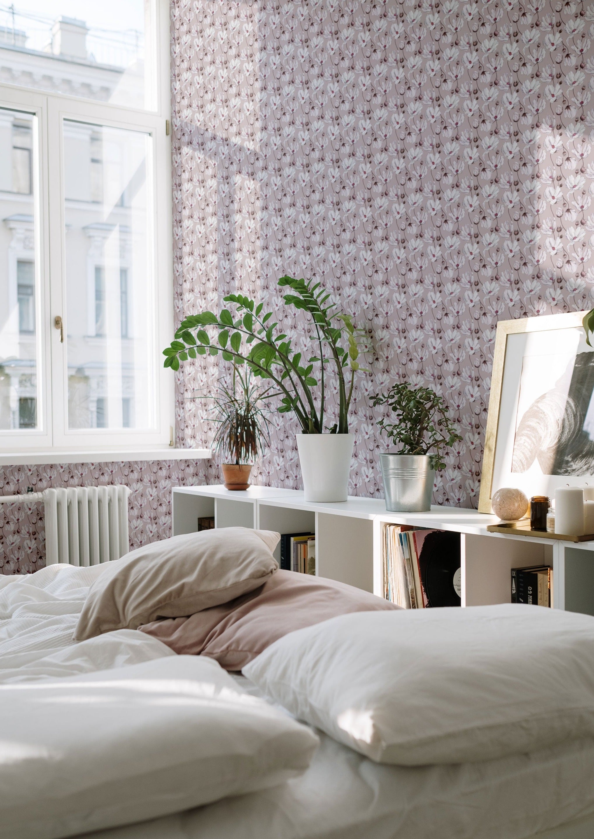 Daisies - Pink