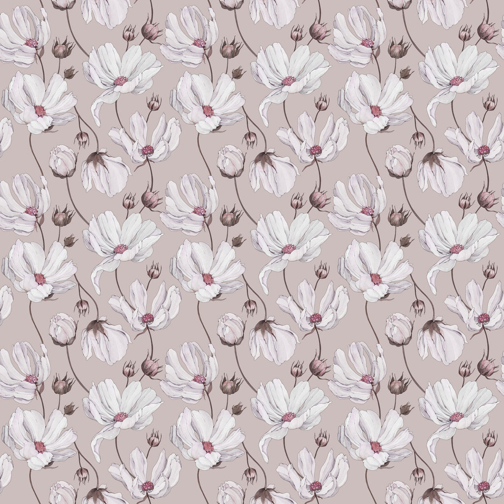 Daisies - Pink