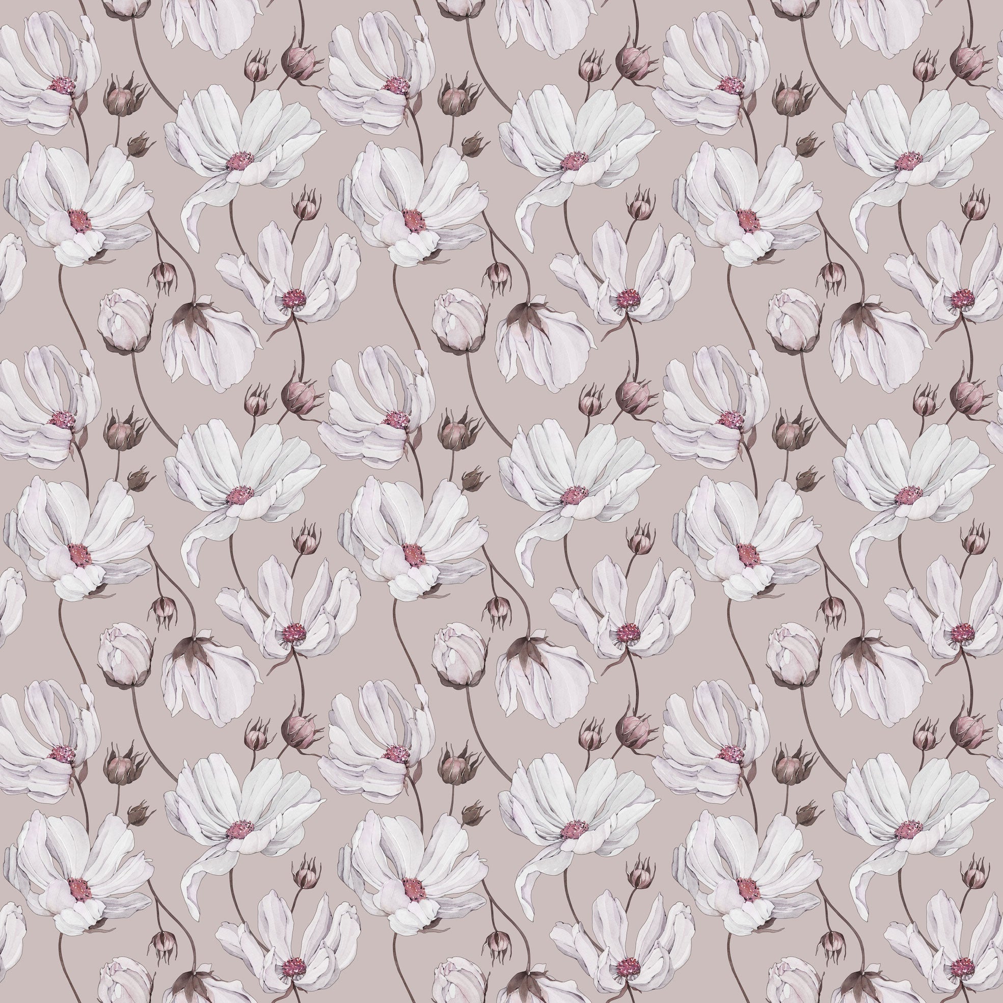 Daisies - Pink