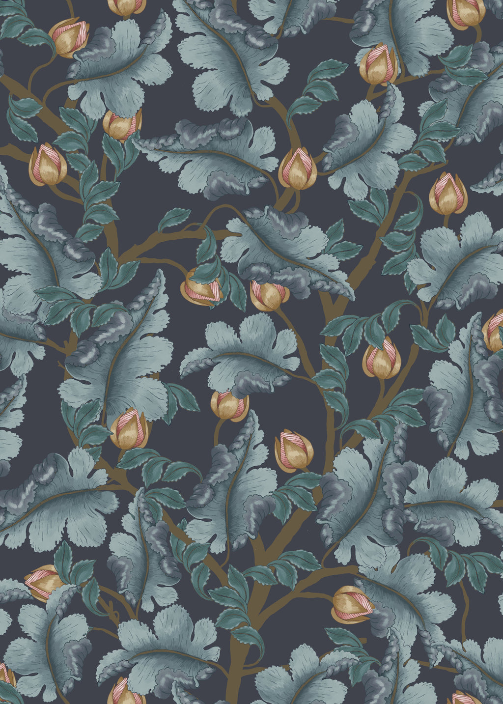 Ranunculus - Midnight Blue