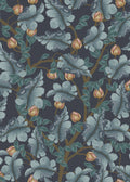 Ranunculus - Midnight Blue