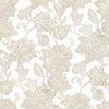 Kashmir Swan