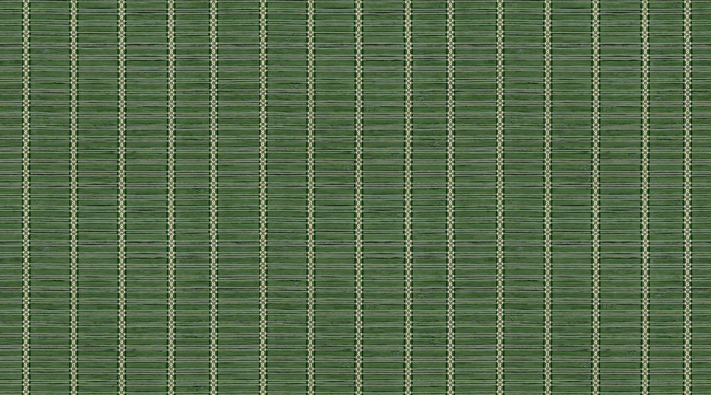 D00211 Estera
