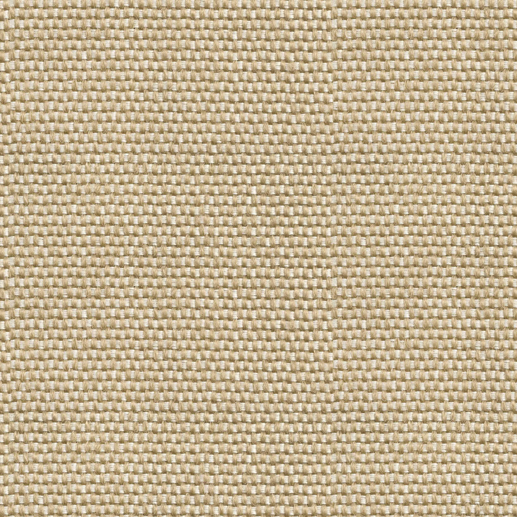 D00219 Yuca