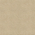 D00219 Yuca