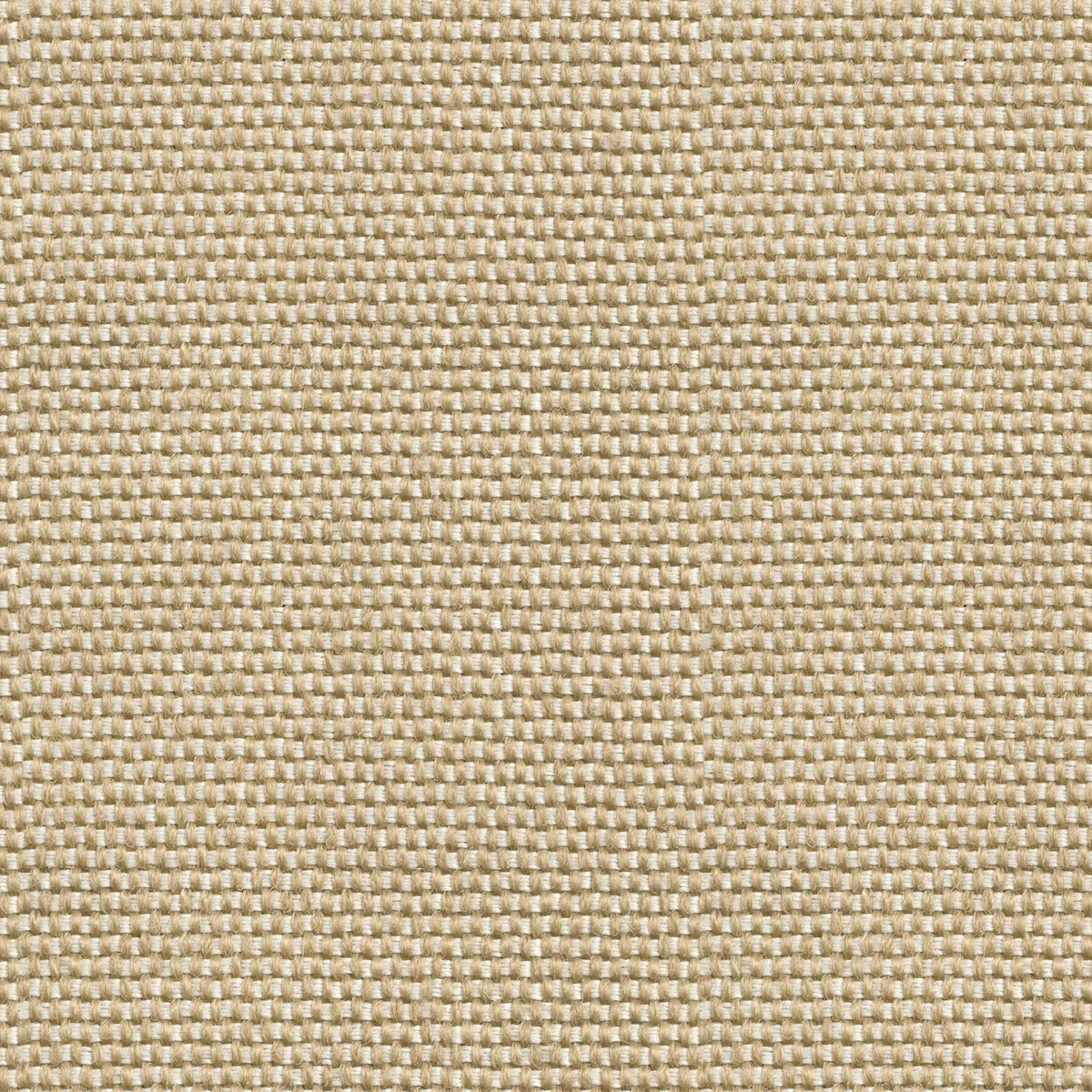 D00219 Yuca