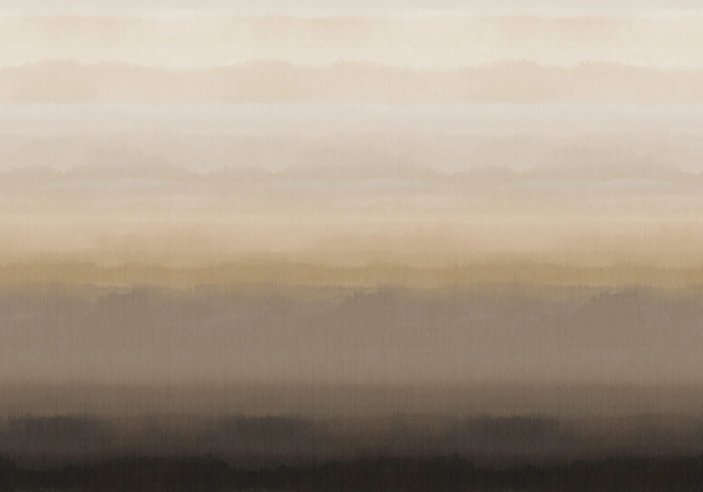 Hinode Cloud