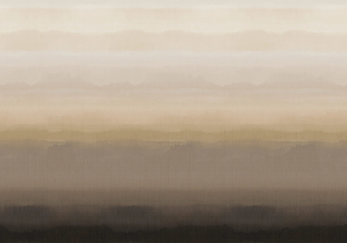 Hinode Cloud