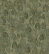 Suman Pistachio