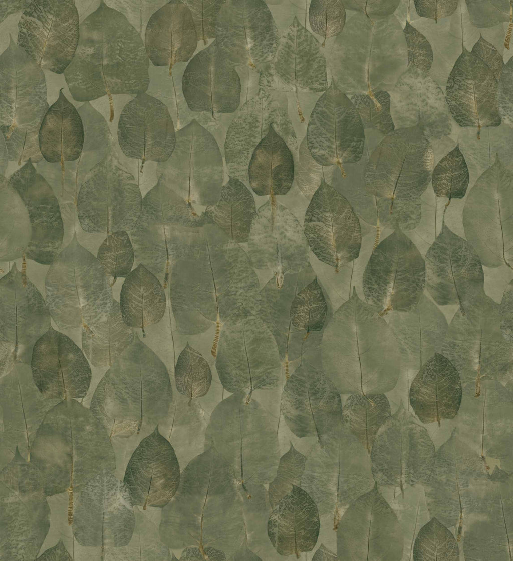 Suman Pistachio