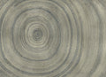 Bois Silver