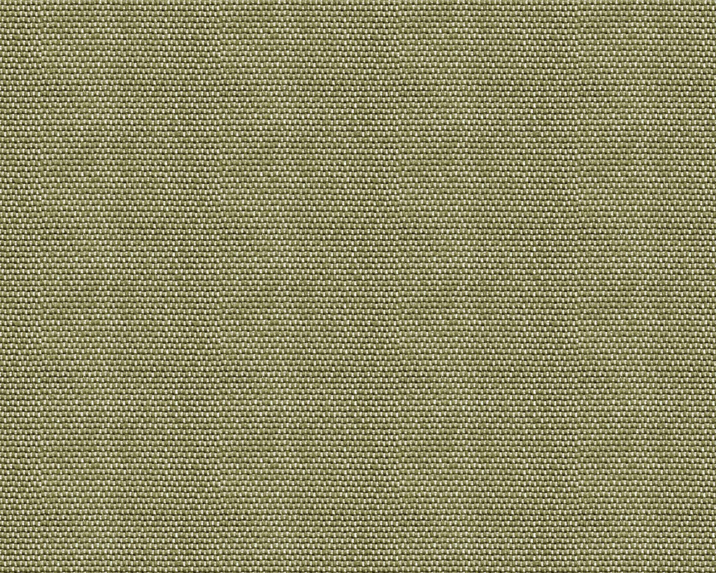 D00218 Yuca