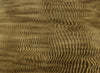 Harenae Gold
