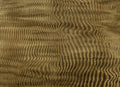 Harenae Gold