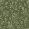 Kashmir Moss