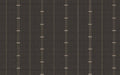D00209 Raíces