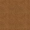 D00221 Yuca