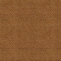 D00221 Yuca