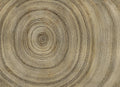 Bois Copper