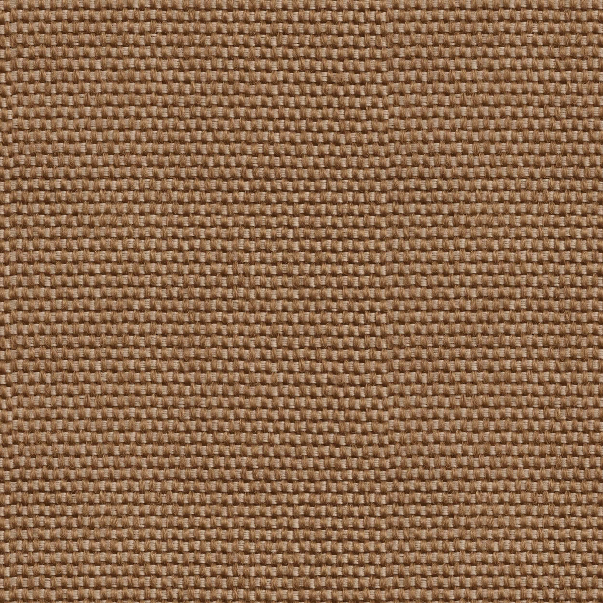 D00222 Yuca