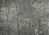 Woods Extra Silver