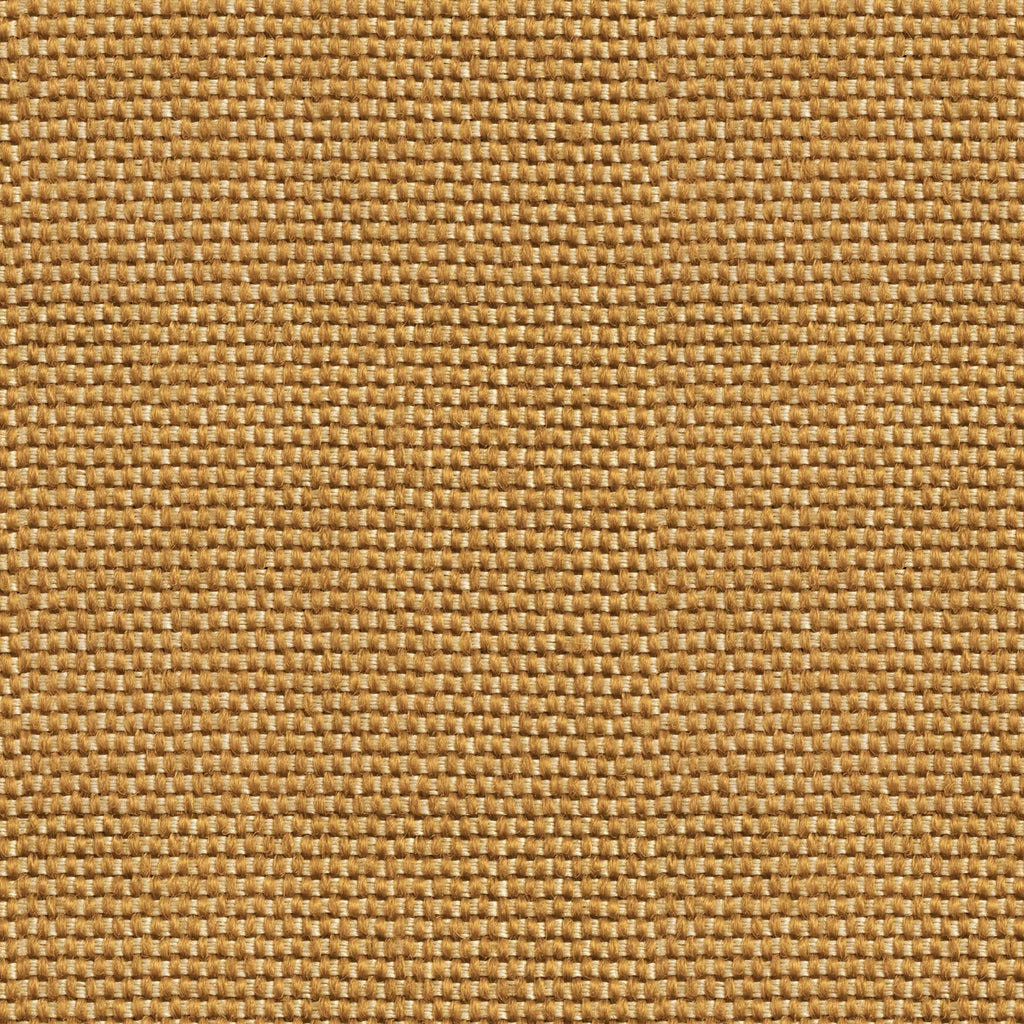 D00220 Yuca