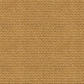D00220 Yuca