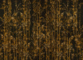 Seijaku Gold