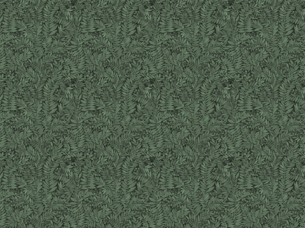 Eve - Evergreen