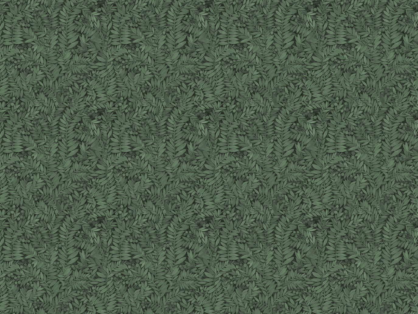 Eve - Evergreen