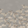 Night Swans - Gray