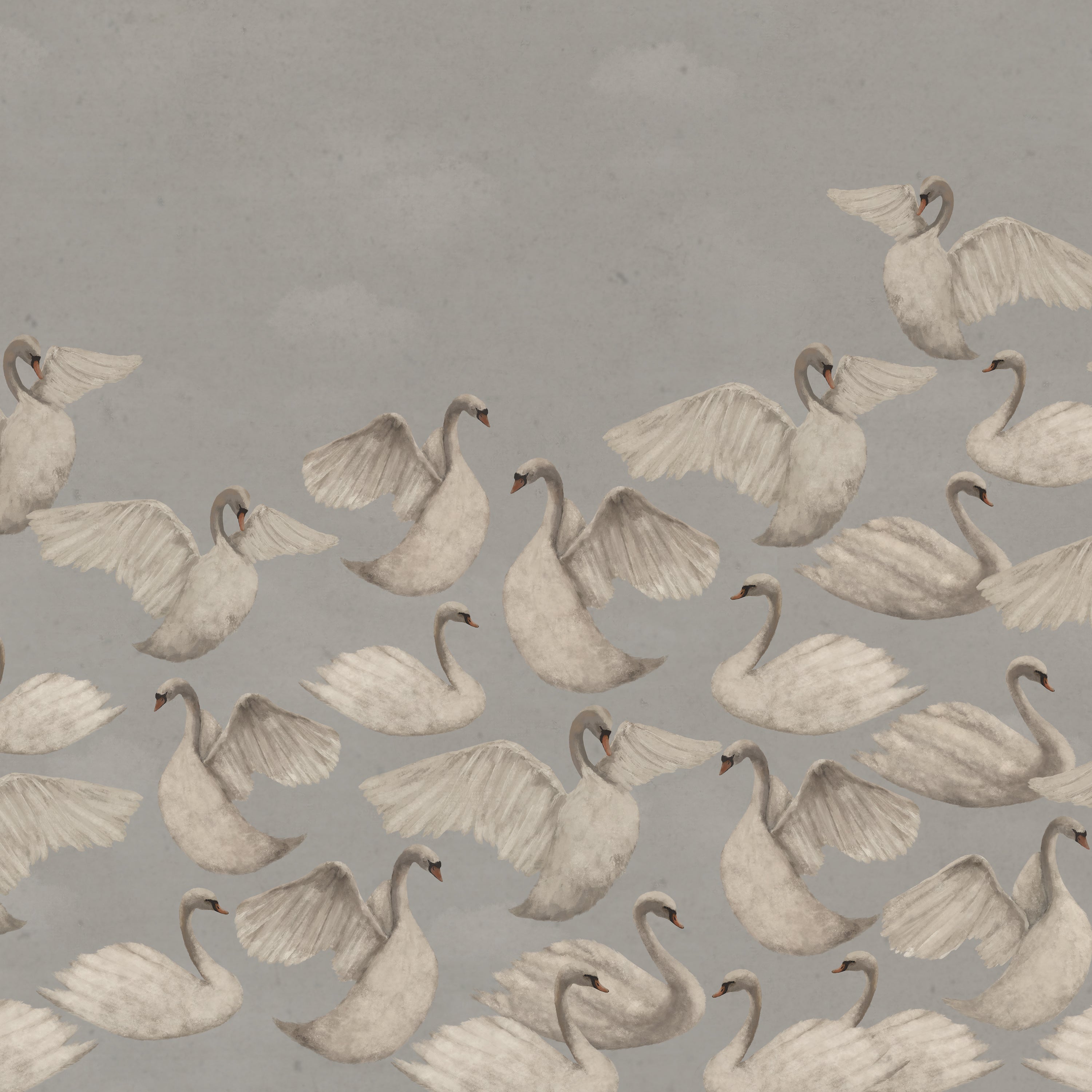 Night Swans - Gray