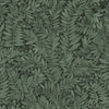 Eve - Evergreen