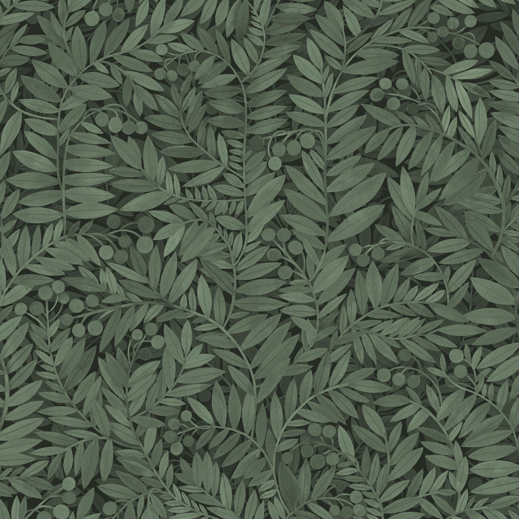 Eve - Evergreen