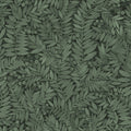 Eve - Evergreen