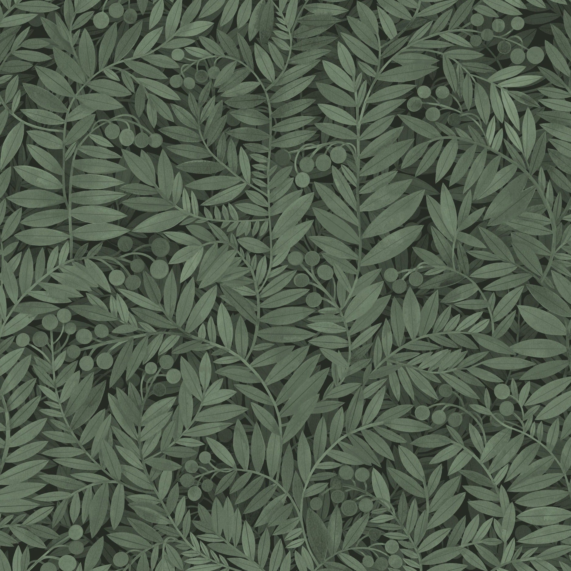 Eve - Evergreen