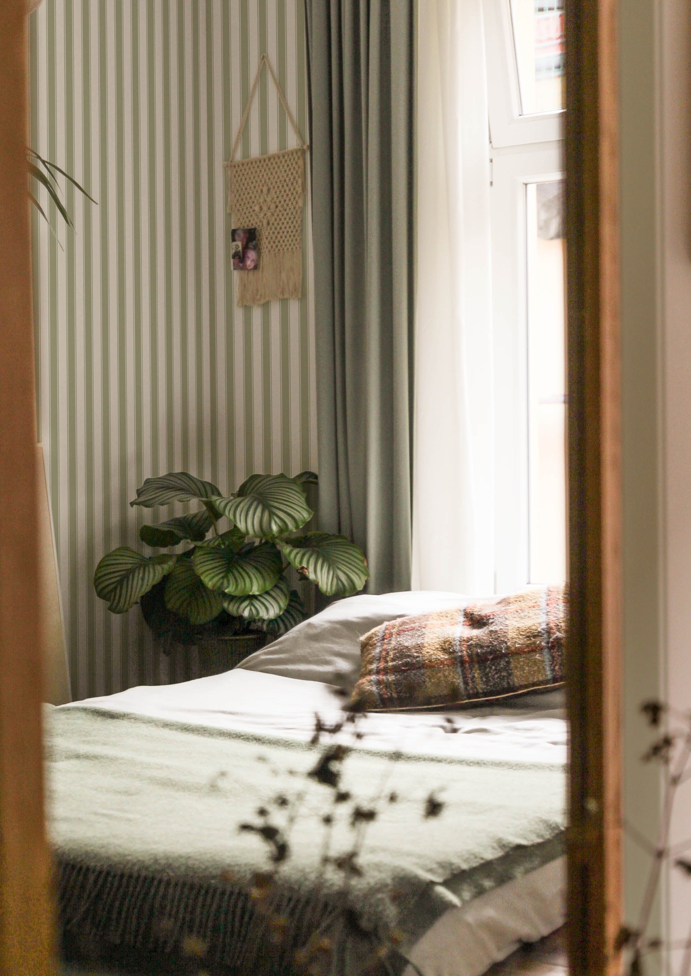 French - Green (OUTLET)
