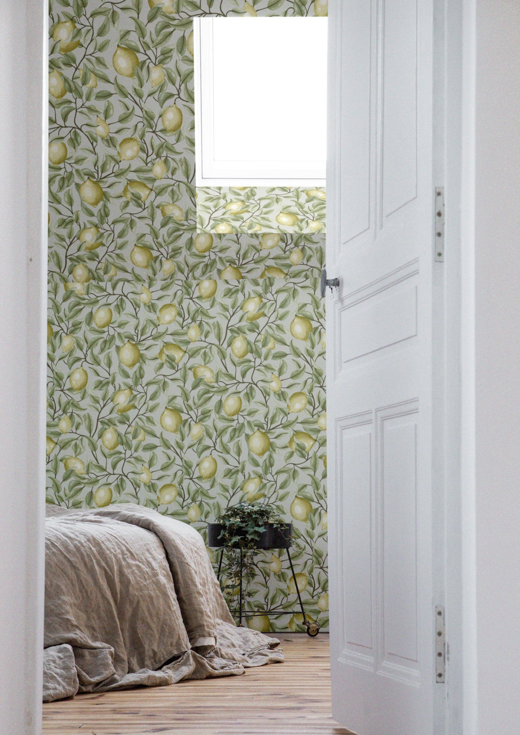 Lemon Trees - Tea green