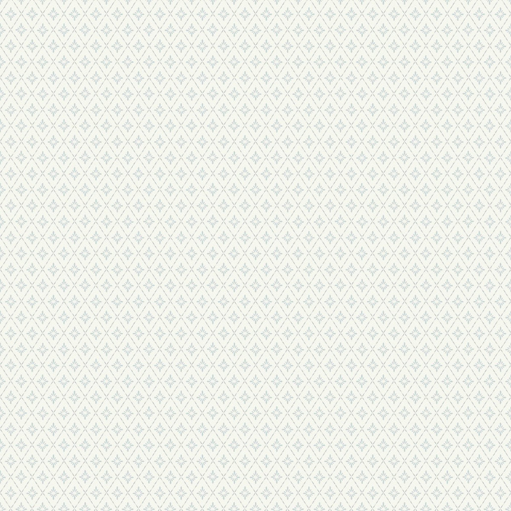 Lillstjärna, White/Blue